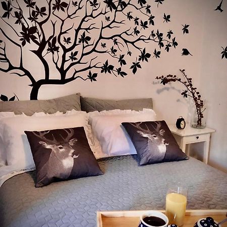 Jodla I Modrzew Apartment เยเลเนียกูรา ภายนอก รูปภาพ