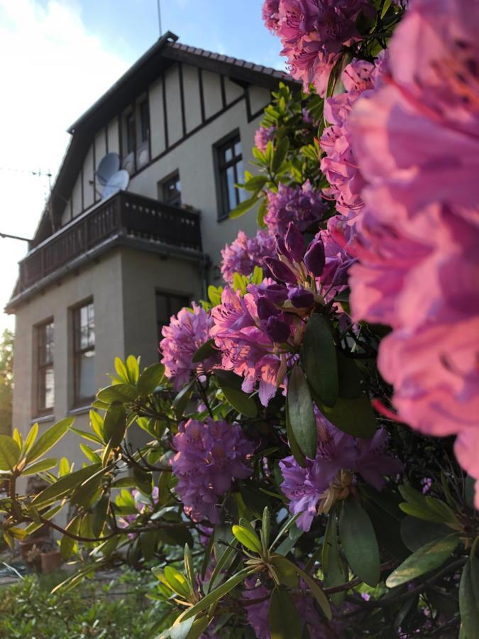 Jodla I Modrzew Apartment เยเลเนียกูรา ภายนอก รูปภาพ