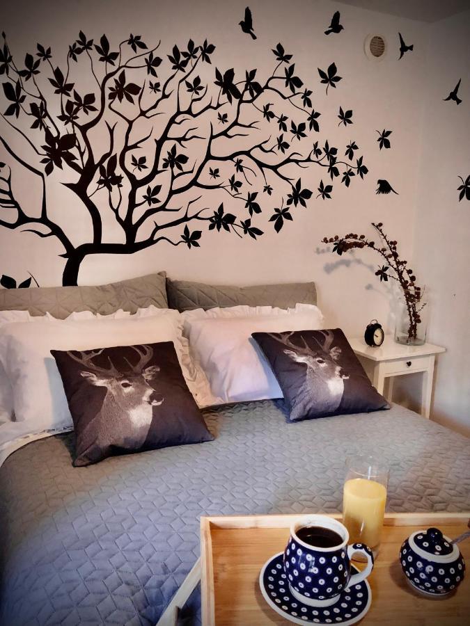 Jodla I Modrzew Apartment เยเลเนียกูรา ภายนอก รูปภาพ